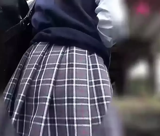Wow, this is a title that really caught my attention! It's about a middle-aged man who is immersed in an enchanting affair with gorgeous F-cup girls in school uniforms