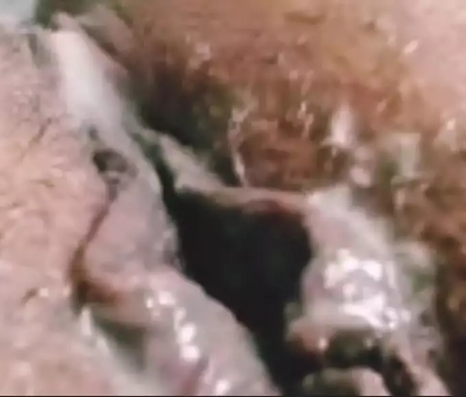 JAV Enchantress Fills Her Luscious Pussy With Creamy Cum - Unleash Your Desires!